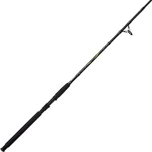 Zebco Big Cat Spinning Rod, 2-Piece, Durable Glass Fishing Rod, Heavy-Duty Guide